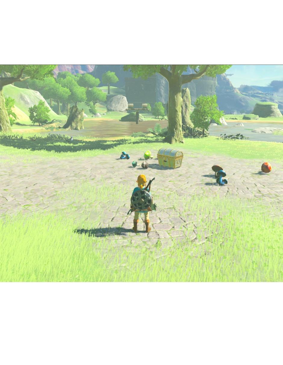 The Legend Of Zelda Botw estándar para nintendo switch 8