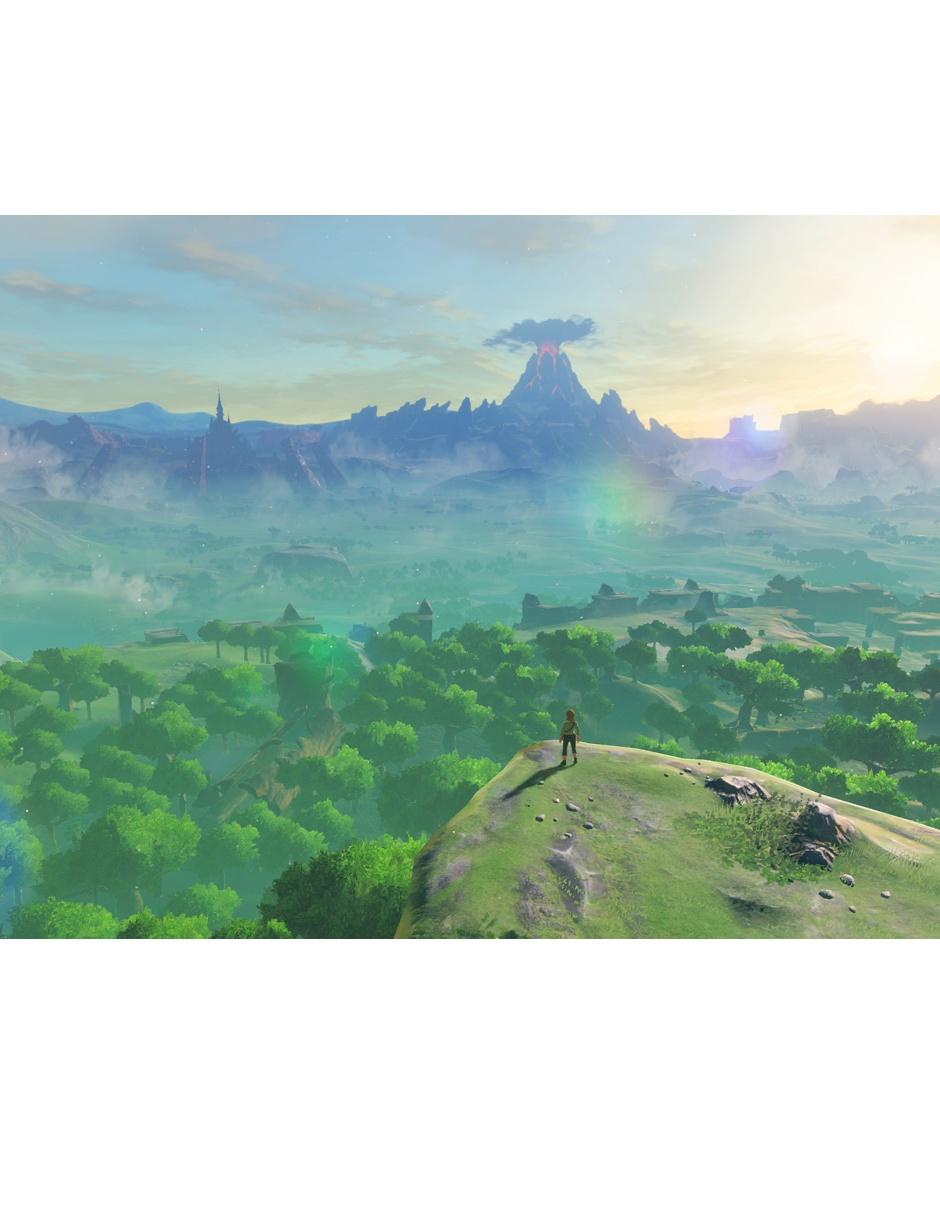 The Legend Of Zelda Botw estándar para nintendo switch 9