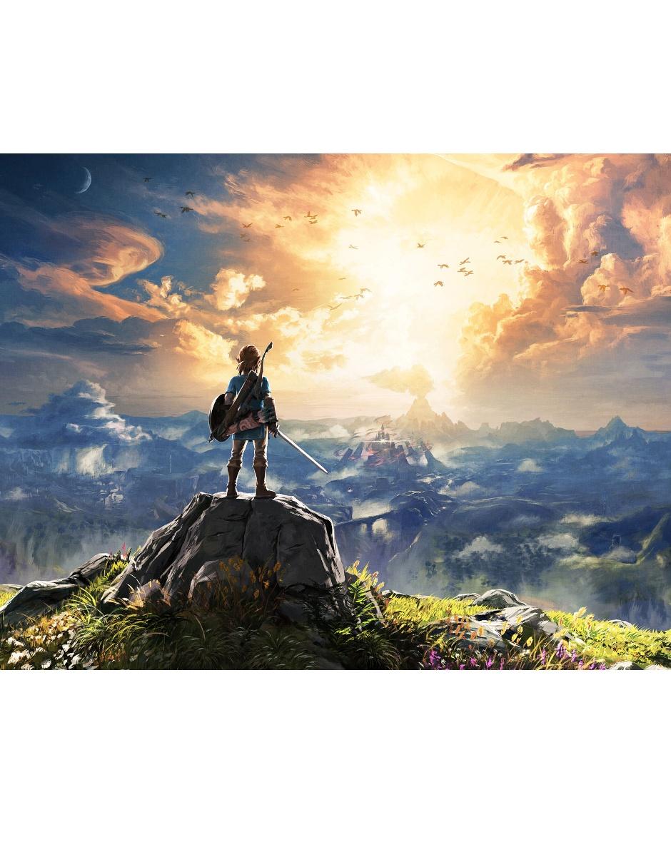 The Legend Of Zelda Botw estándar para nintendo switch 10