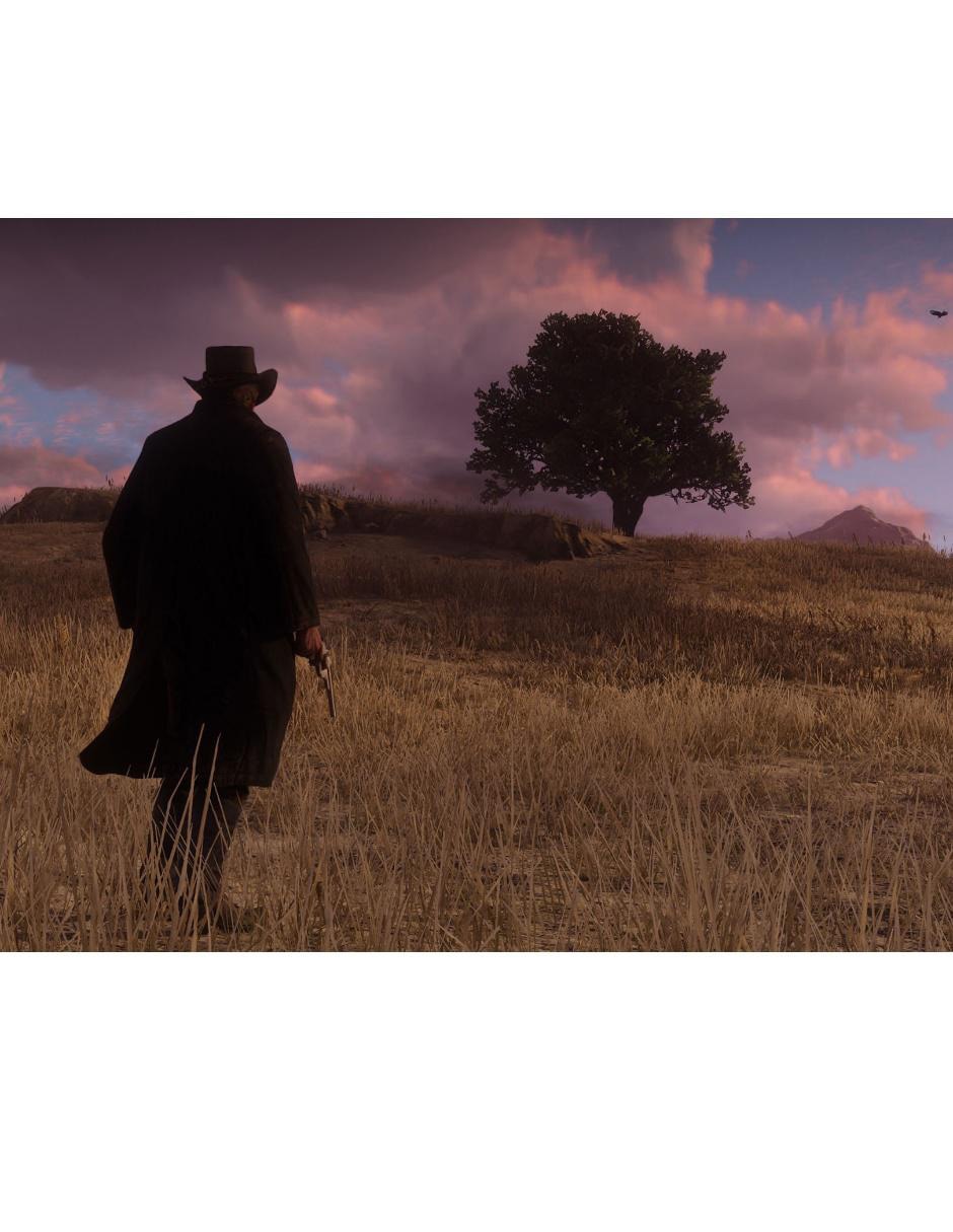 Red Dead Redemption 2 estándar para PS4 24