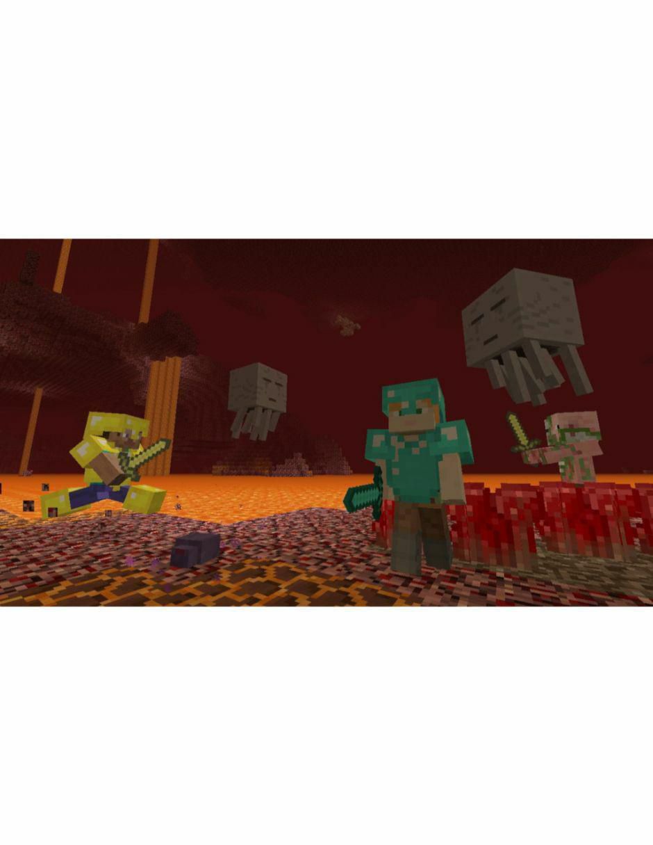 Minecraft estándar para Switch 3