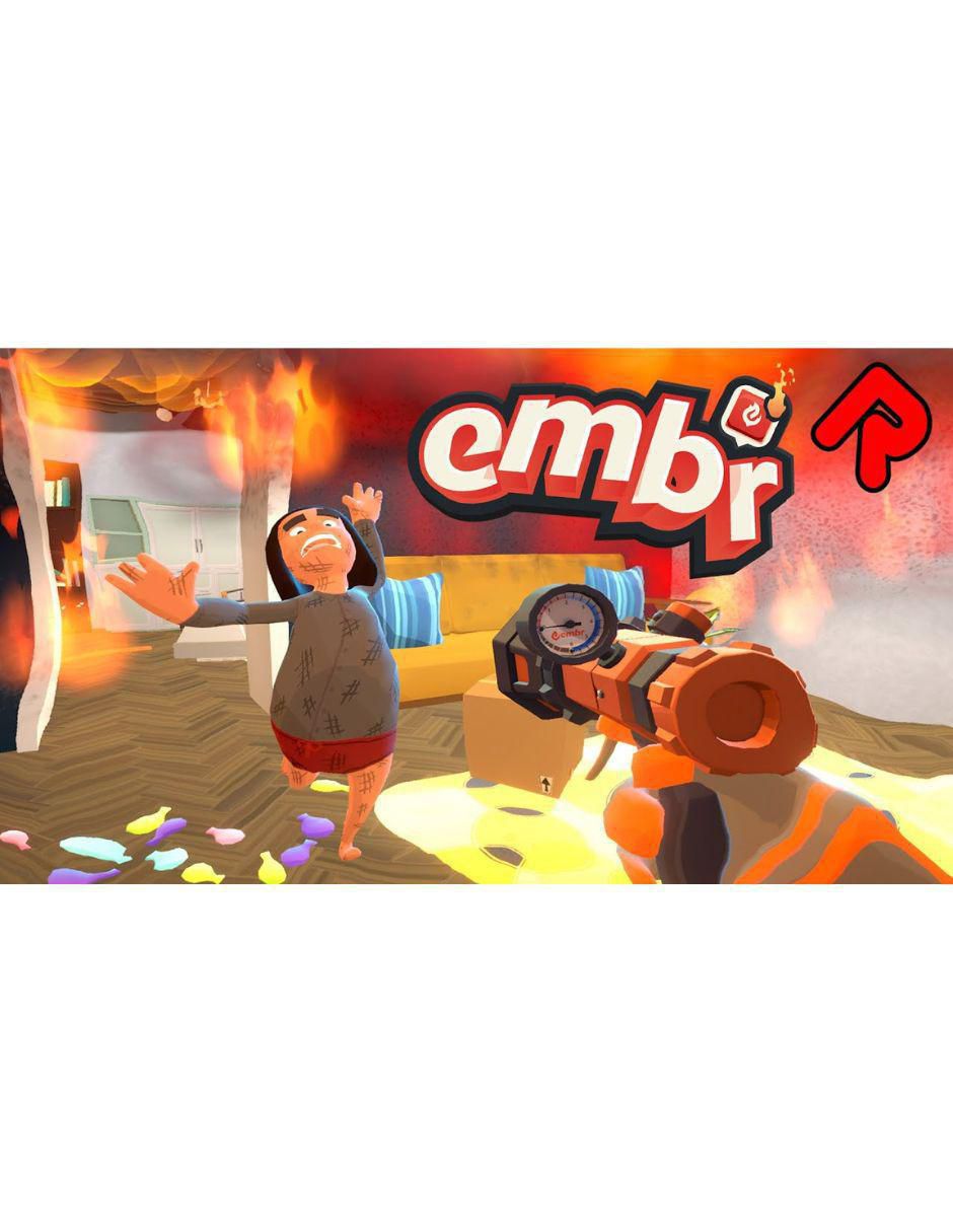 Embr estándar para nintendo switch 2