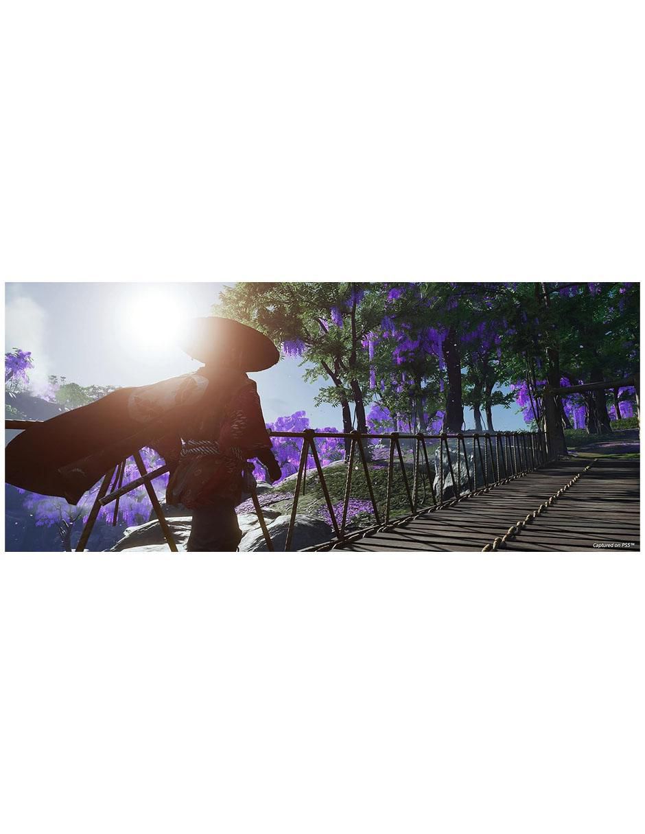 Ghost Of Tsushima Directors Cut estándar para PS5