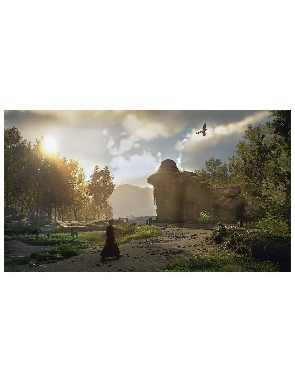 Hogwarts Legacy Playstation especial para PS5