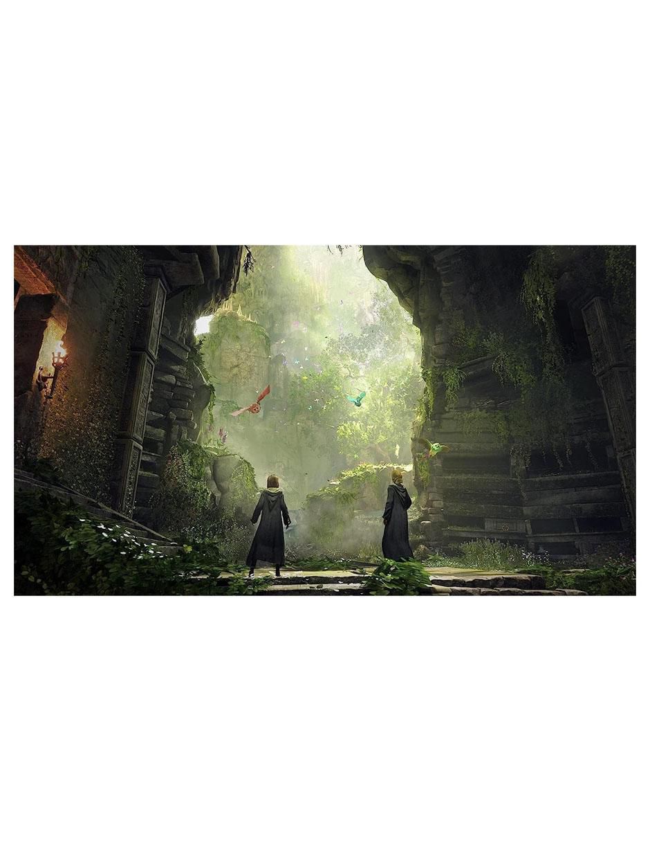 Hogwarts Legacy especial para PS5