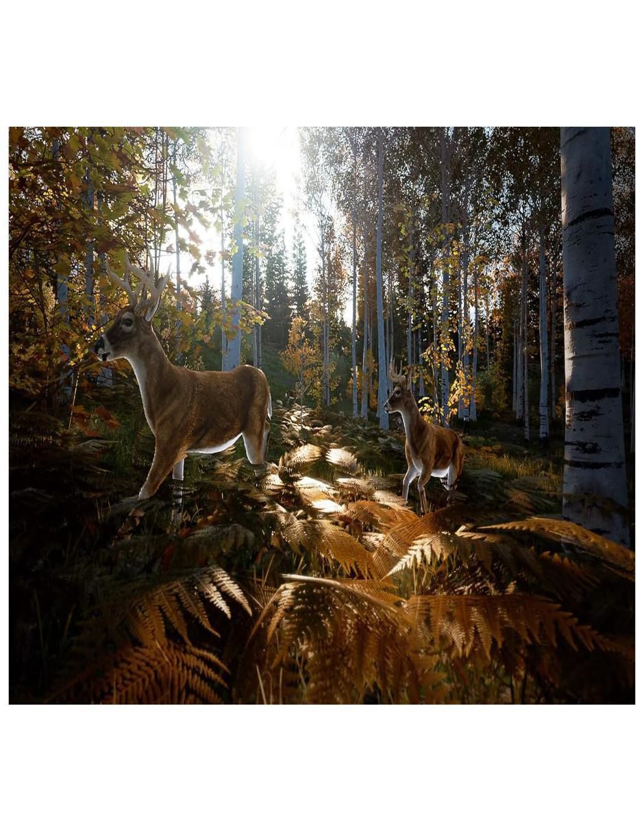 Hunting Simulator 2 estándar para ps4 3