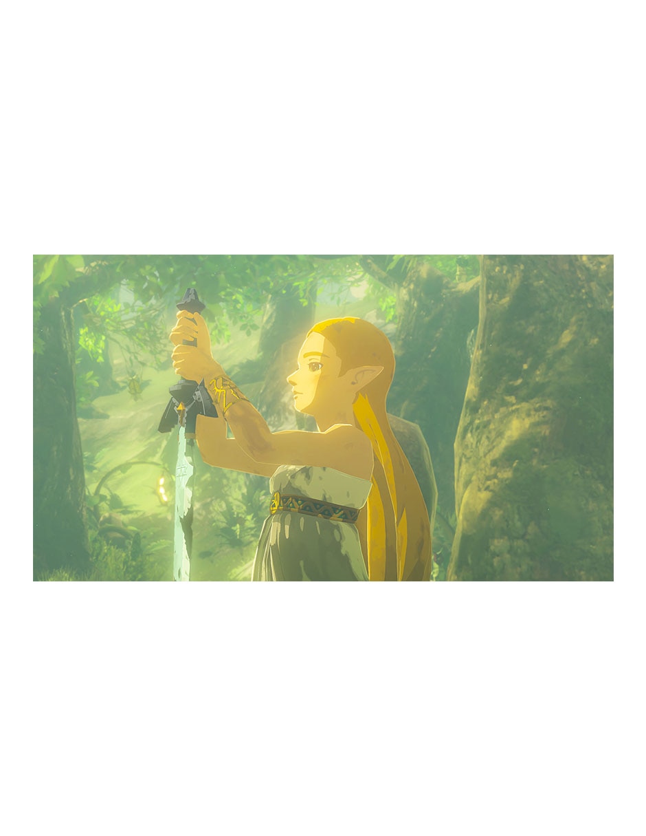 The Legend Of Zelda : Breath Of The Wild estándar para Nintendo Switch 2 13