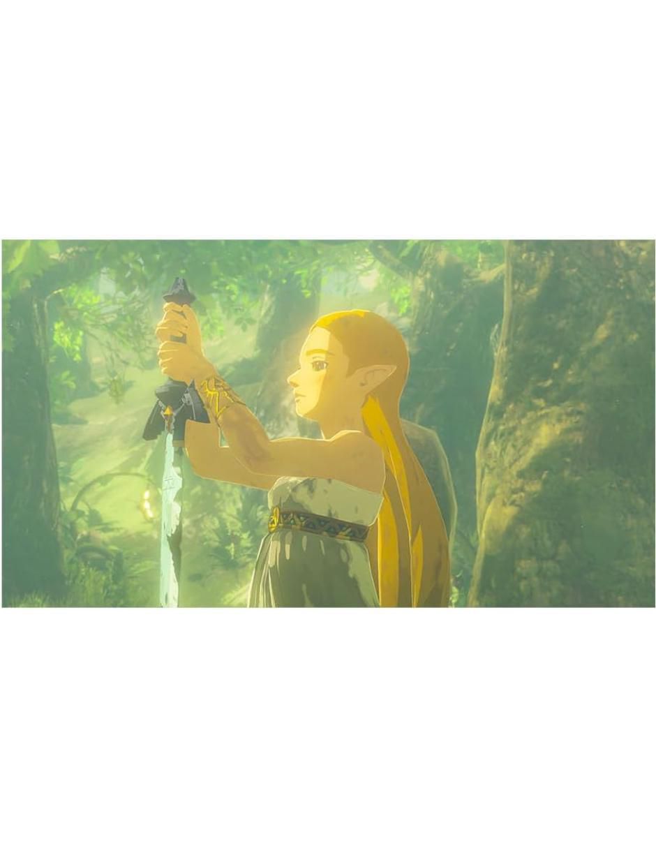 The Legend of Zelda Breath of the Wild estándar para nintendo switch 2 2