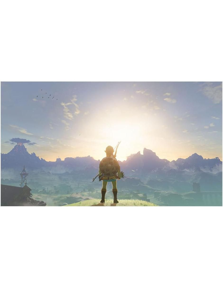 The Legend of Zelda Breath of the Wild estándar para nintendo switch 2 4