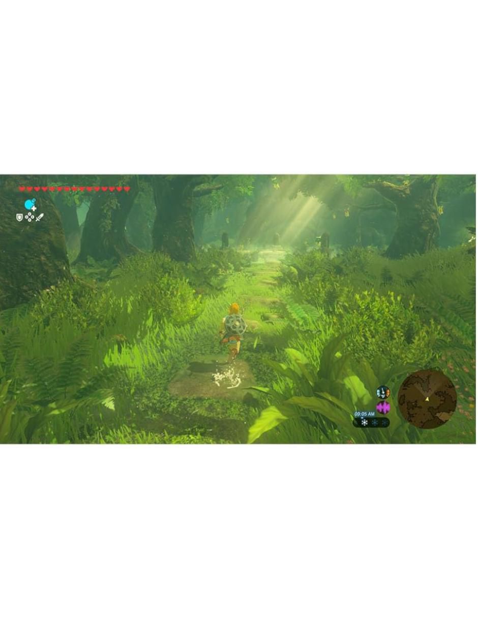 The Legend of Zelda Breath of the Wild estándar para nintendo switch 2 6