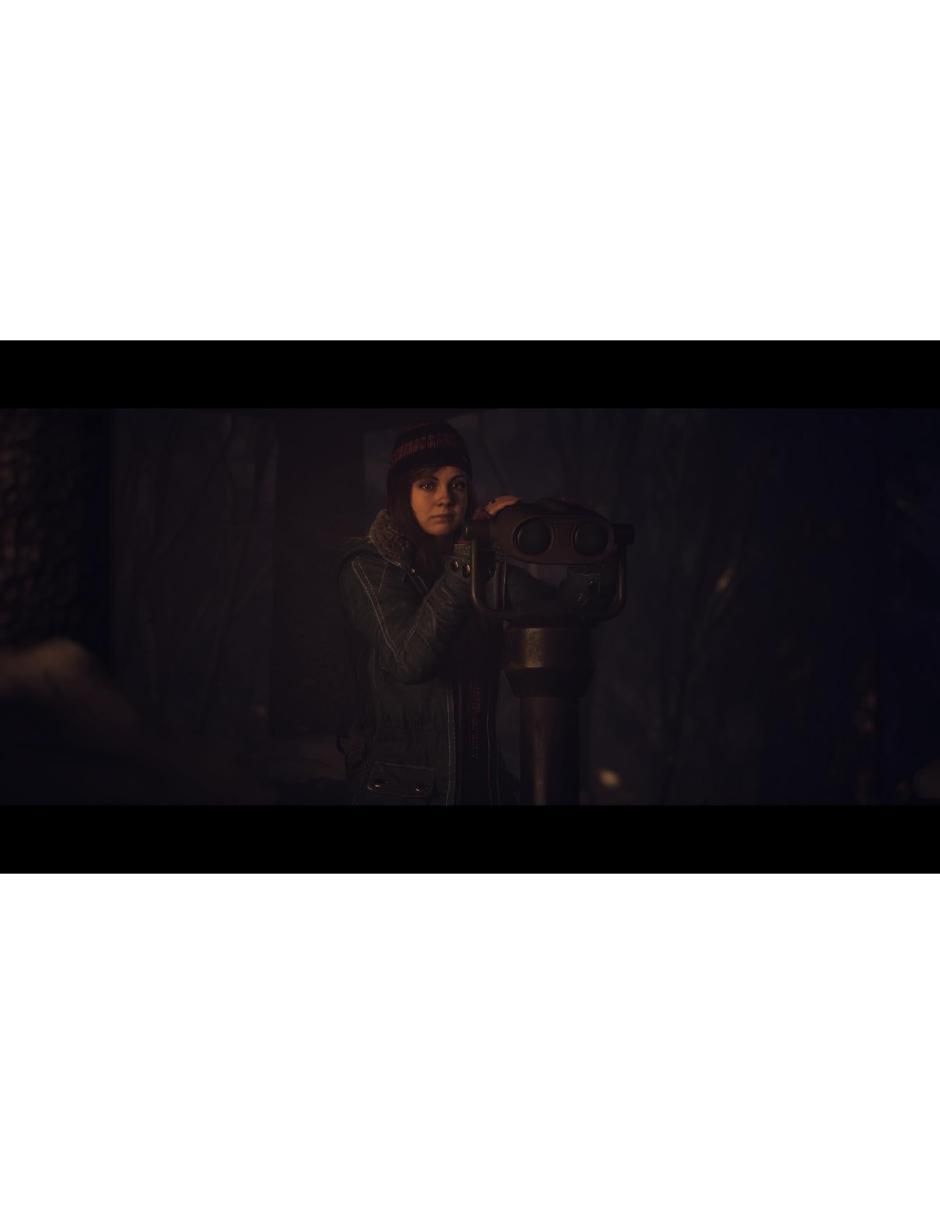 UNTIL DAWN bundle para ps5 3