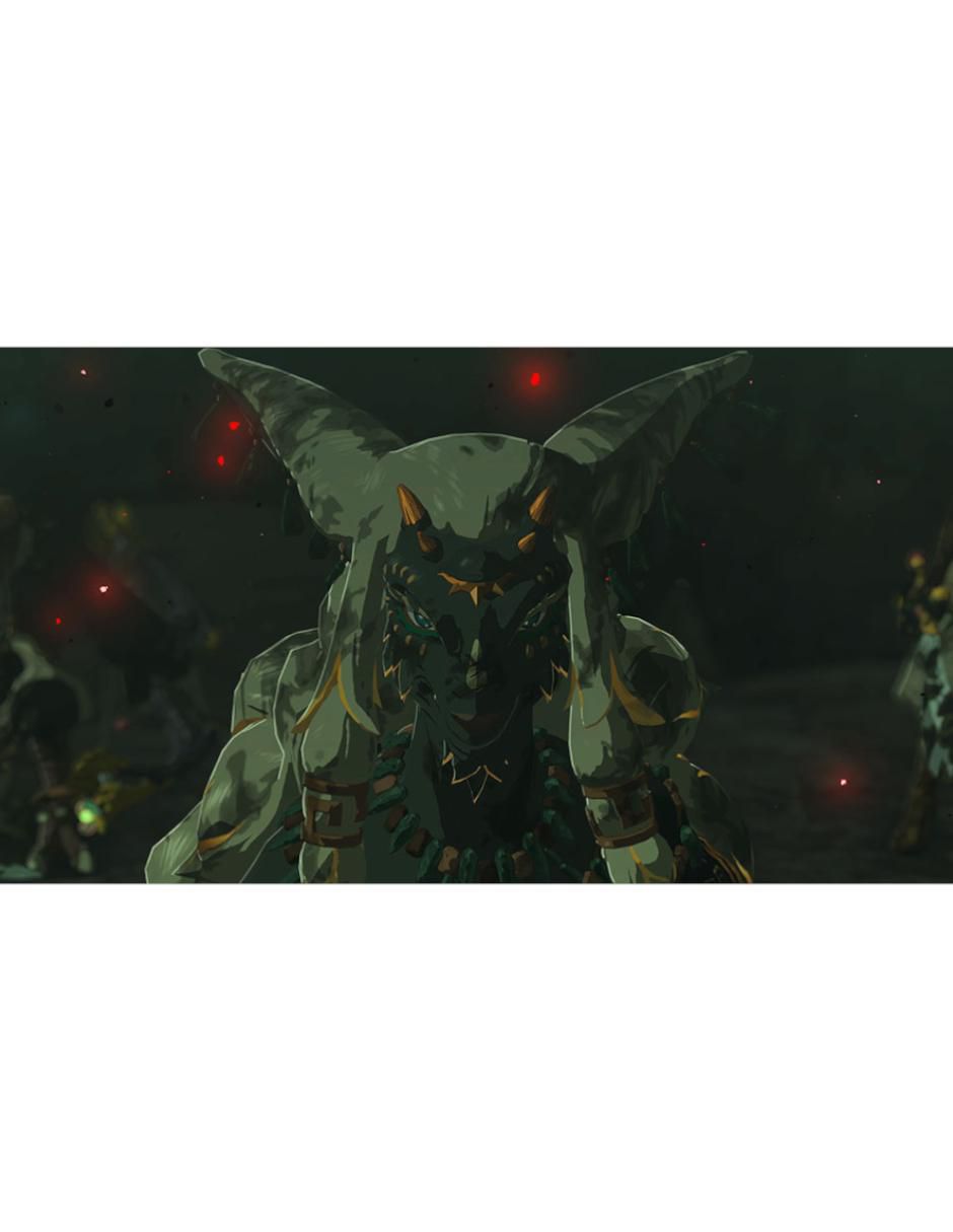 The Legend of Zelda Tears of the Kingdom bundle para Switch 7