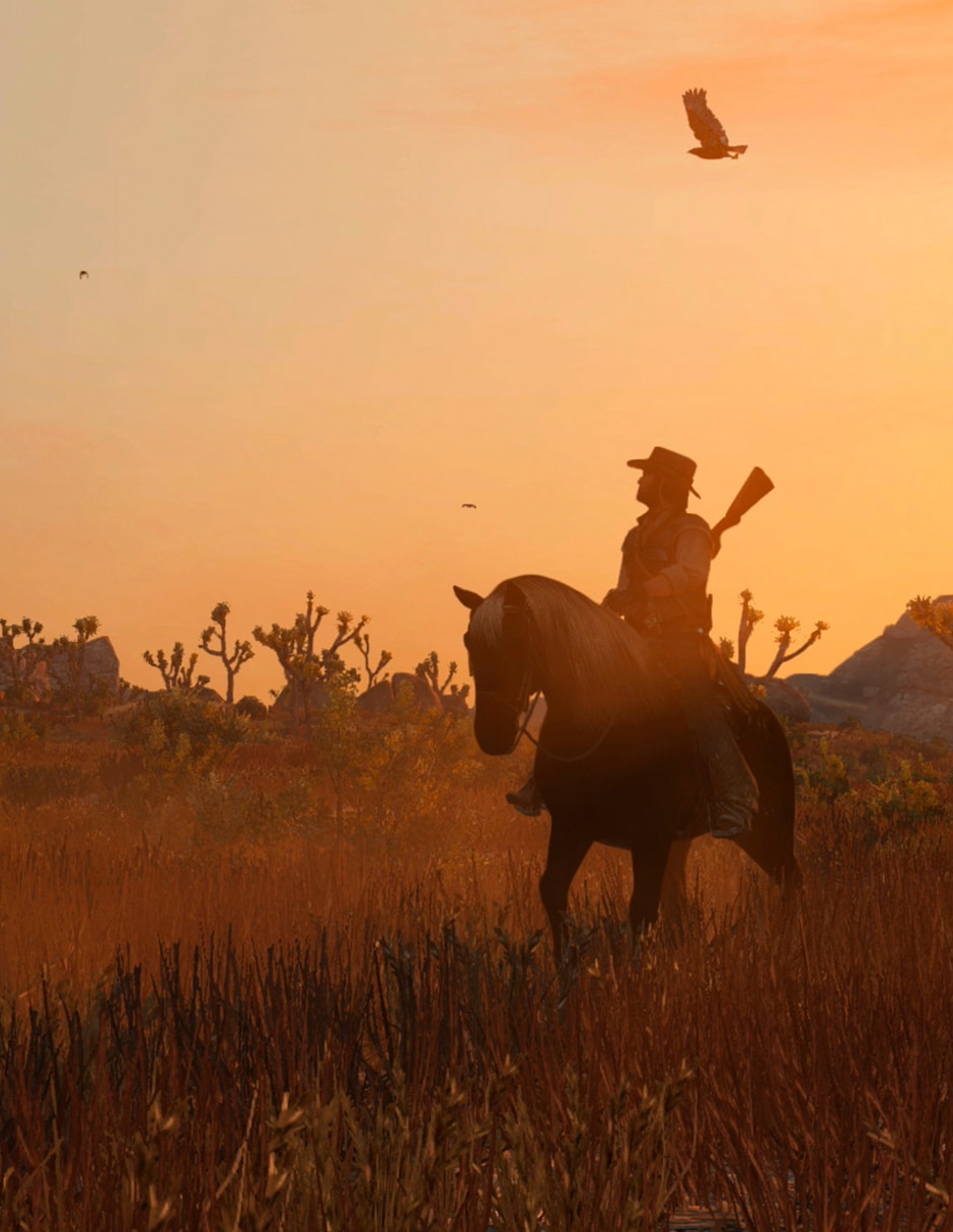 RED DEAD REDEMPTION estándar para Switch 3