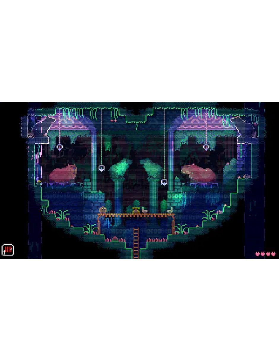 Animal Well para PS5 5
