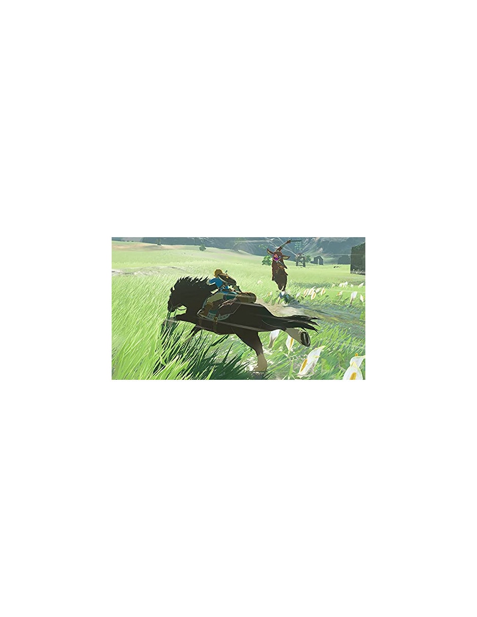 The Legend of Zelda: Breath of the Wild estándar para Nintendo Switch