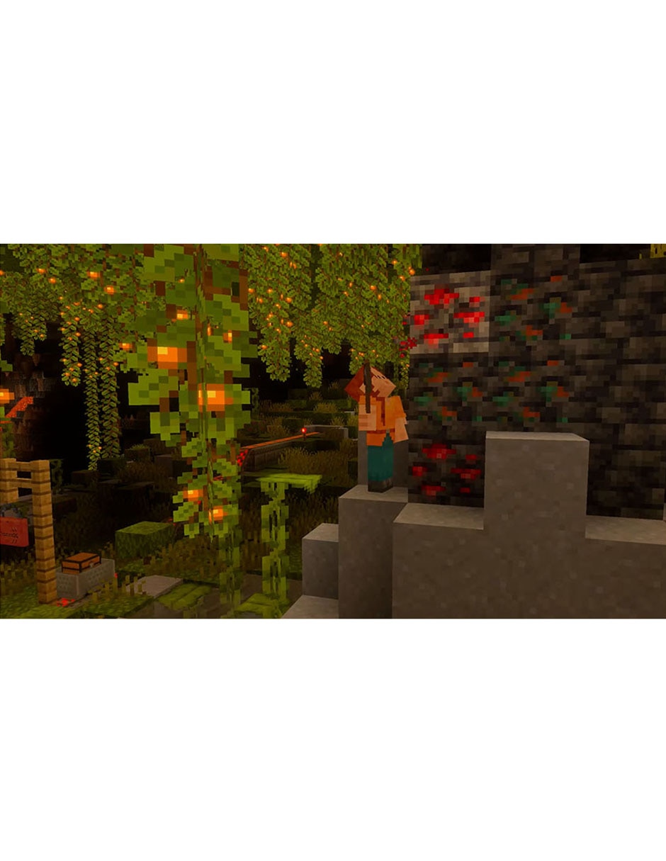 Juego estándar nsw2 minecraft nsw2 5