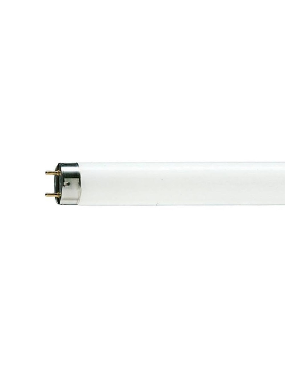 Guirnaldas de luces de led 1