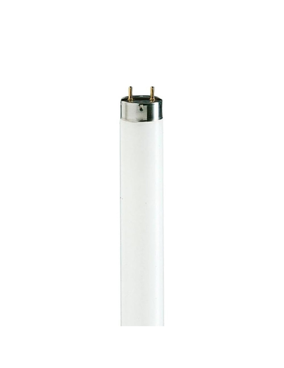 Guirnaldas de luces de led 2